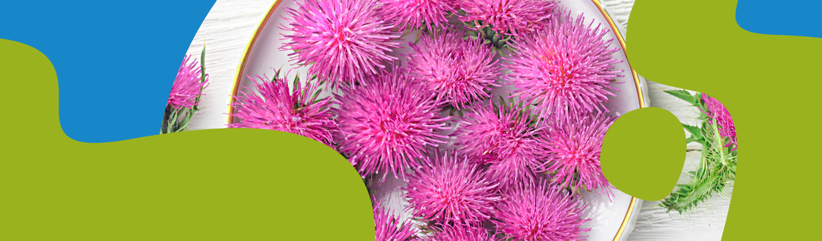 Milk Thistle Oil – Benefits, Uses and Tips