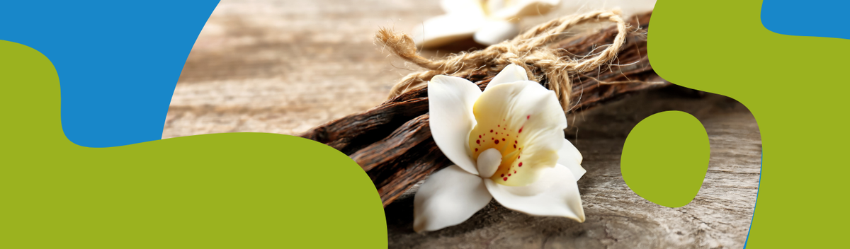 Vanilla Essential Oil: Properties, Uses & Blending Guide