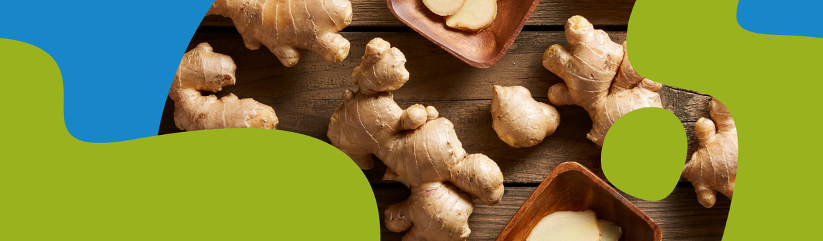 Ginger: Medicinal Properties, Uses & Benefits