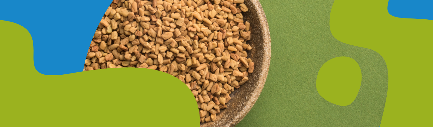Fenugreek: Medicinal Uses, Benefits & Properties