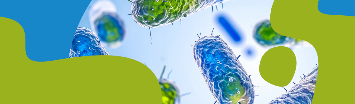 Probiotics Guide: Benefits, Strains & How They Work