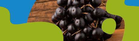 Acai Berries: Health Benefits, Weight Loss & Uses