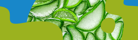 Aloe Vera Juice Benefits, Uses & Safety