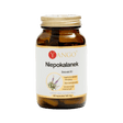 Yango Chaste Berry - 90 Capsules